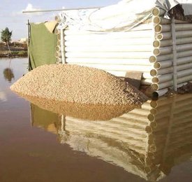 Tawerghan Campos de Refugiados inundadas